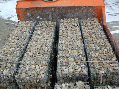 Gabionen - Dolomit Gabione S-50-50-50 - Gab-14000-01_01T - Steinbruch Huber