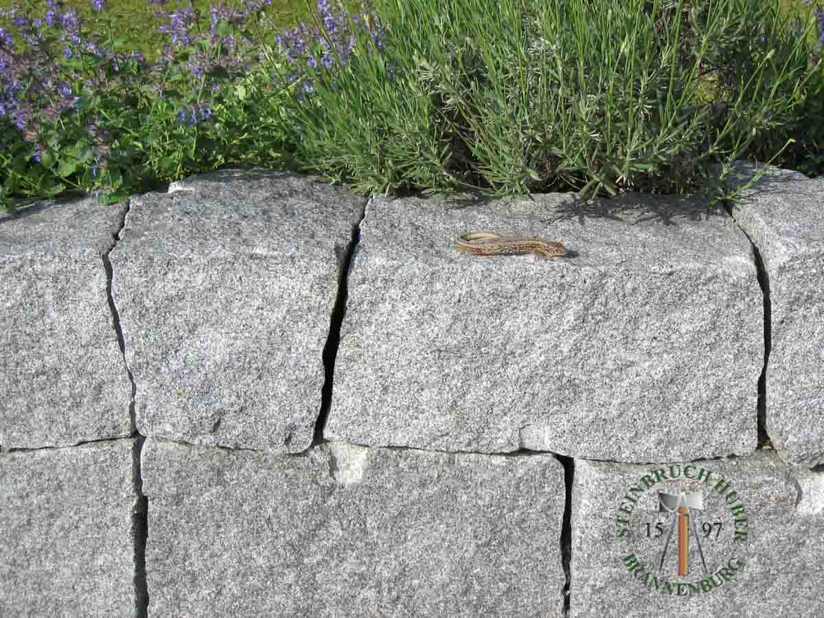 Mauersteine - Granit Mauerstein BayGranit 20 - Mst-11030-02_02 - Steinbruch Huber