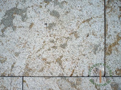 Bodenplatten - Muschelkalk Bodenplatten Bahnen gestockt - Bpl-14801-08_02T - Steinbruch Huber