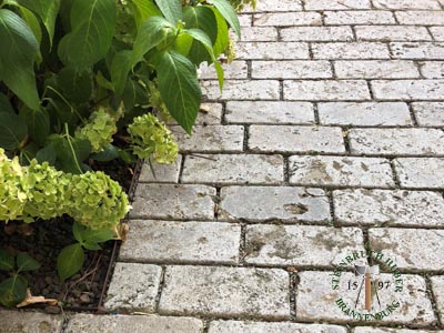 Pflastersteine - Muschelkalk Langpflaster gesägt 8-8-15-30 - Pfl-14801-08_02T - Steinbruch Huber