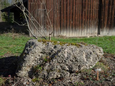 Findlinge - Nagelfluh Findlinge 40-260 - Fin-10000-01_03T - Steinbruch Huber