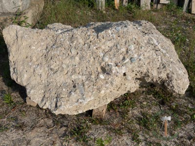 Findlinge - Nagelfluh Findlinge 40-260 - Fin-10000-01_04T - Steinbruch Huber