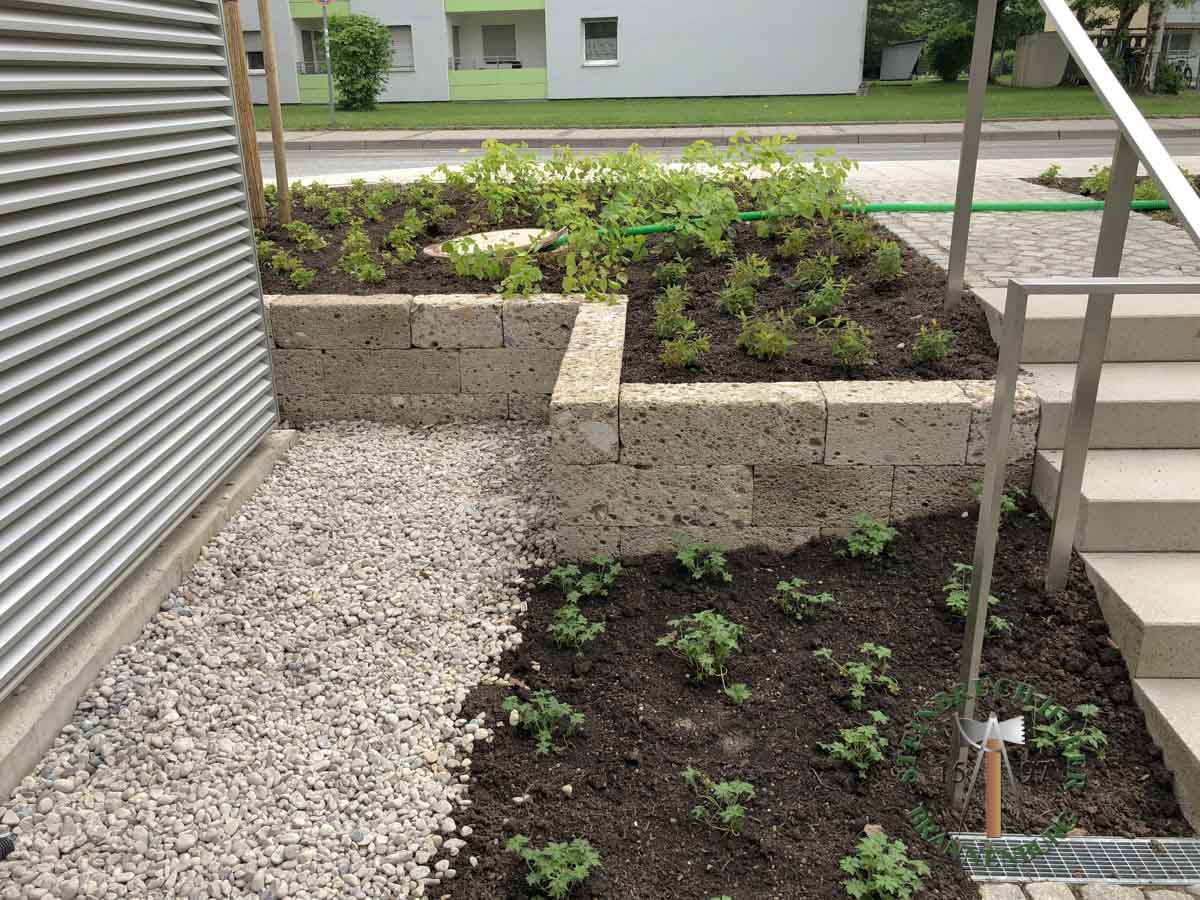 Mauersteine - Nagelfluh Mauerstein Biber 20-A - Mst-10000-25_01 - Steinbruch Huber