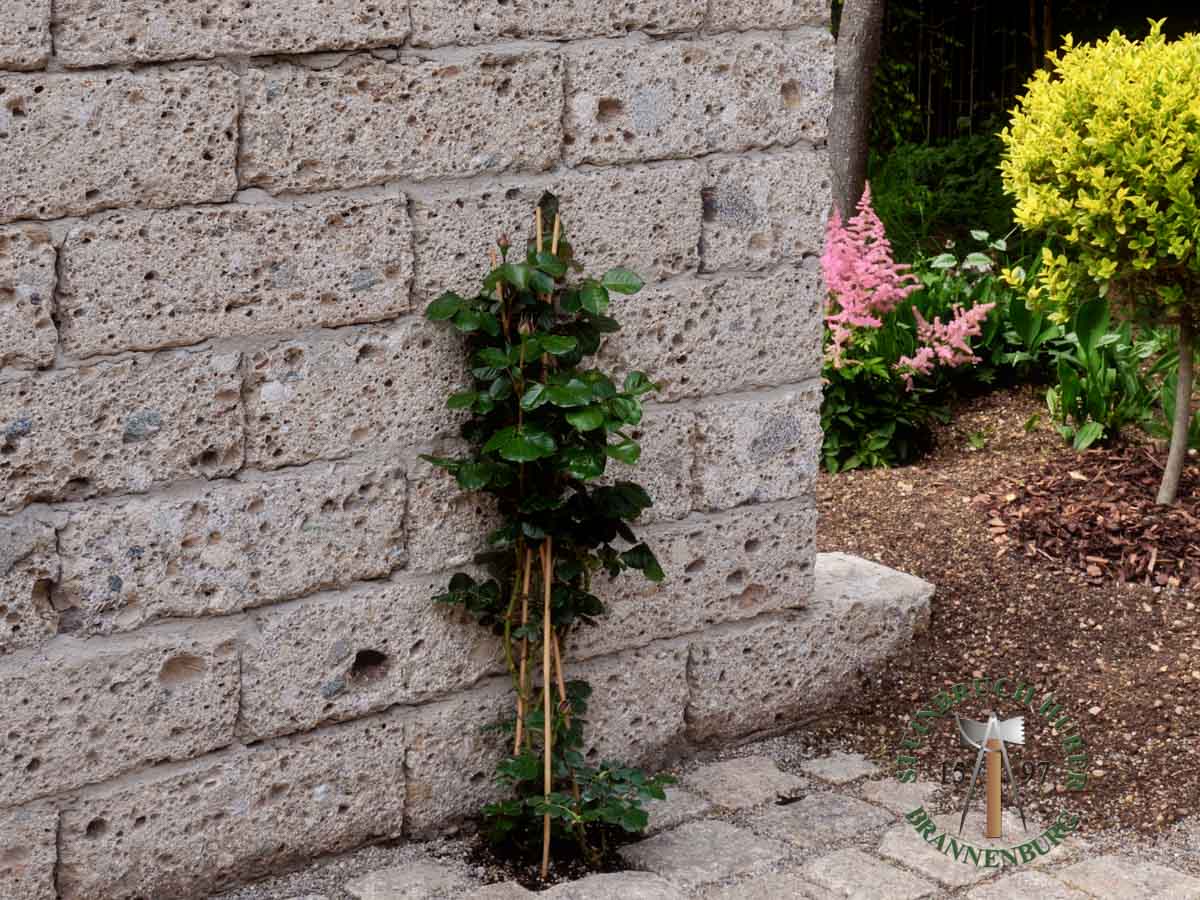 Mauersteine - Nagelfluh Mauerstein Biber 20-D - Mst-10000-26_01 - Steinbruch Huber