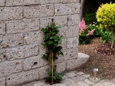 Mauersteine - Nagelfluh Mauerstein Biber 20-D - Mst-10000-26_01T - Steinbruch Huber