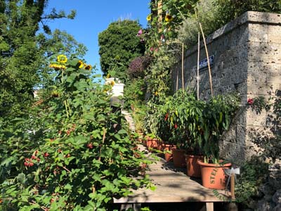 Mauersteine - Nagelfluh Mauerstein Biber 20 - Mst-10000-24_01T - Steinbruch Huber