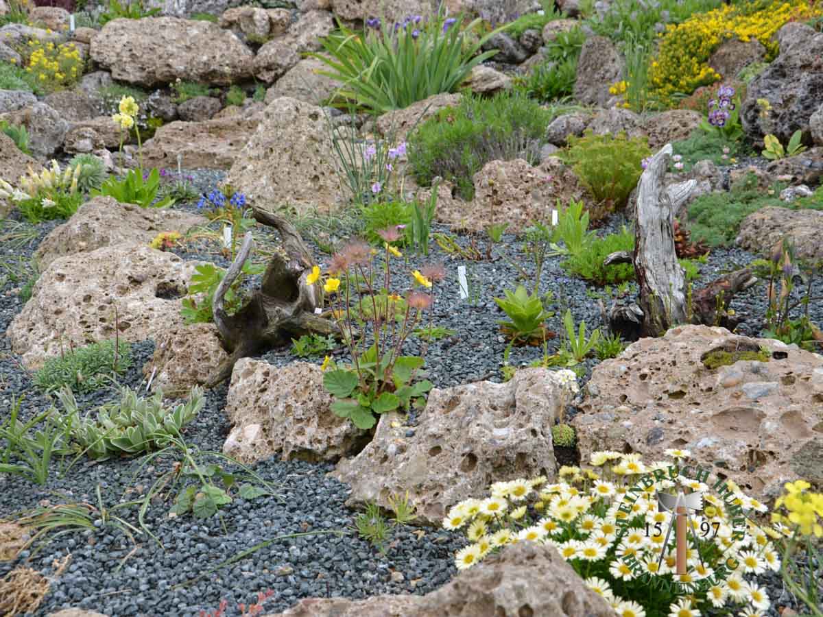 Mauersteine - Nagelfluh Mauerstein Petersberg 10-60 - Mst-10000-01_08 - Steinbruch Huber