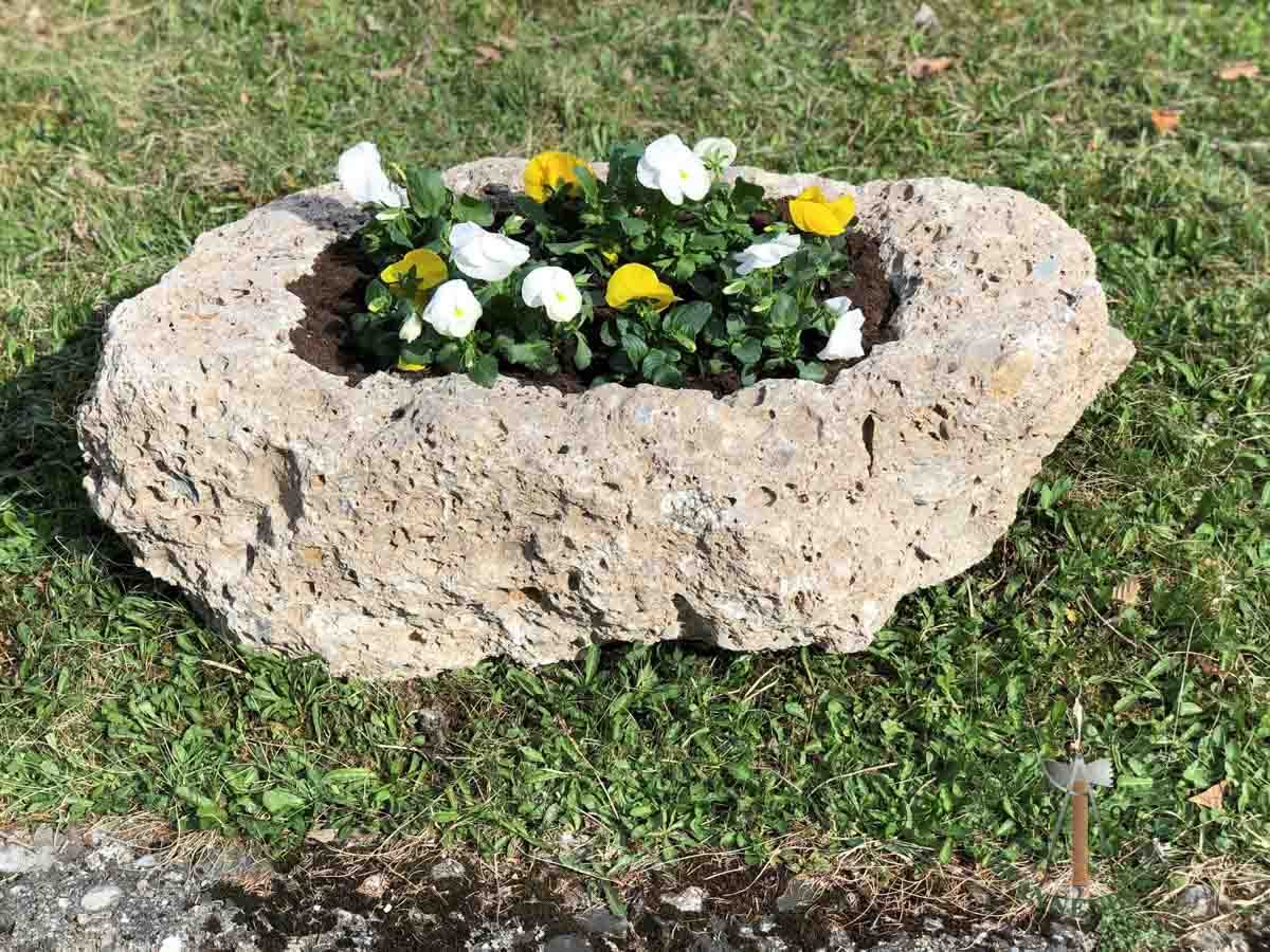 Pflanztröge - Nagelfluh Pflanzstein Enzian - Pla-10000-01_01 - Steinbruch Huber