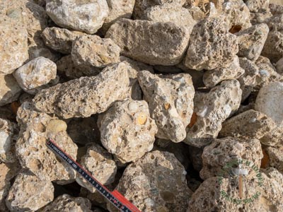 Wasserbausteine - Nagelfluh Wasserbaustein Traun 10-25 - Wba-10000-01_01T - Steinbruch Huber