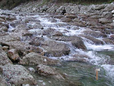 Wasserbausteine - Nagelfluh Wasserbaustein Traun 80-140 - Wba-10000-04_02T - Steinbruch Huber