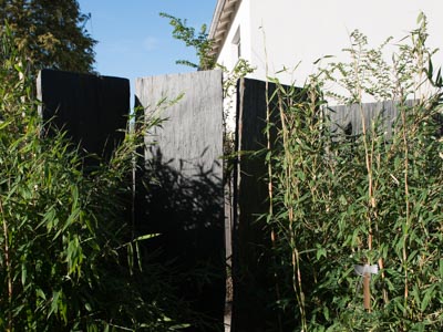 Stelen - Schiefer Stele Camelot 300 - Stl-13002-04_03T - Steinbruch Huber