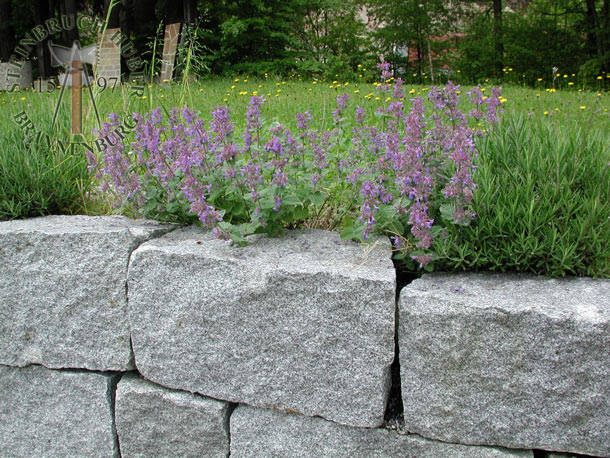 Granit Quader zum Bau einer robusten Gartenmauer - Mauersteine - 00139_04 - Steinbruch Huber Mauersteine - Granit Quader BayGranit R - 00139_04 - Steinbruch Huber